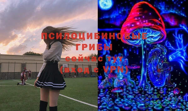 стафф Арсеньев