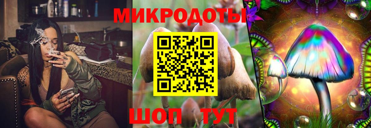 Кирово-Чепецк  Псилоцибиновые грибы GOLDEN TEACHER  купить  цена  Вход с VPN 