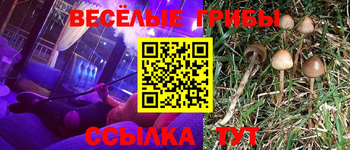 Псилоцибиновые грибы прущие грибы Кирово-Чепецк